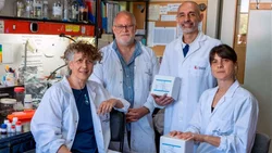 Científicos del CONICET desarrollaron un test para detectar dengue