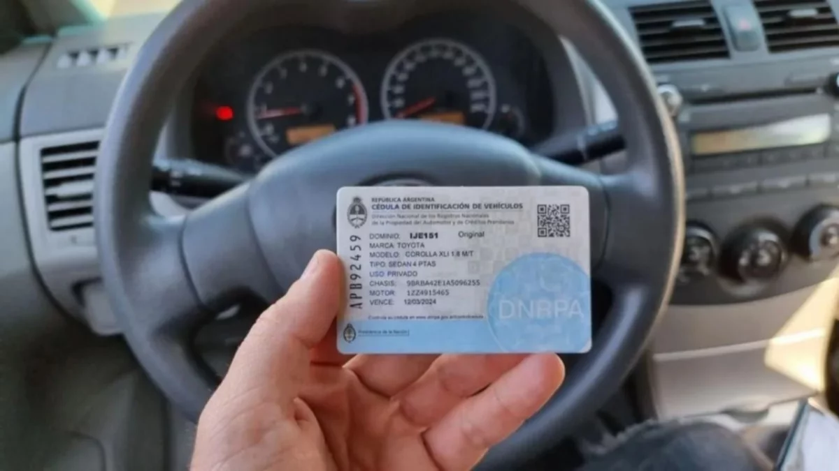 Atención conductores: cómo reemplazar la cédula azul