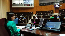 Quién es Zulma Reina, la eventual reemplazante de Gloria Ruiz en la Legislatura