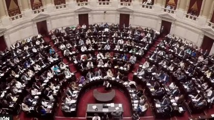 Otra vez fracasó la sesión en Diputados para tratar el proyecto de Ficha Limpia