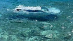 Perdió el control del vehículo en Ruta 40 y cayó al lago Nahuel Huapi