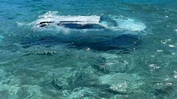Perdió el control del vehículo en Ruta 40 y cayó al lago Nahuel Huapi