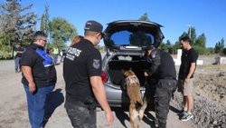 Pirotecnia Cero: con perros entrenados realizaron controles en el puente de Balsa Las Perlas