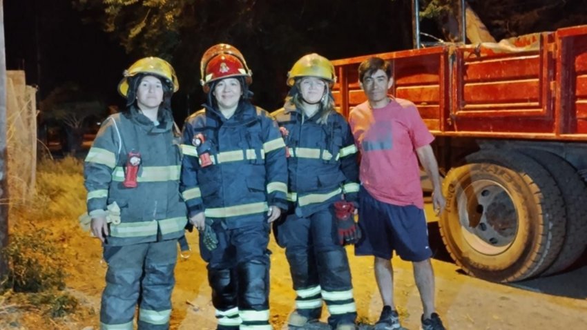 Rescataron a un gato de un árbol y lo bautizaron "Macallister"