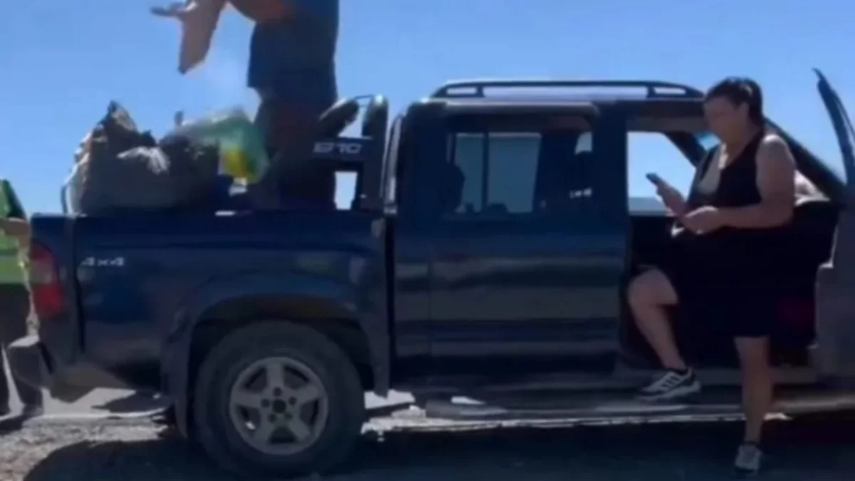 Atropelló 8 lechones en un control: "Si no los vendo, ustedes no los comen", dijo