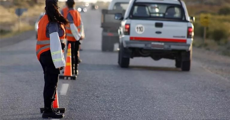 Atropelló 8 lechones en un control: "Si no los vendo, ustedes no los comen", dijo- Atropelló 8 lechones en un control: "Si no los vendo, ustedes no los comen", dijo
