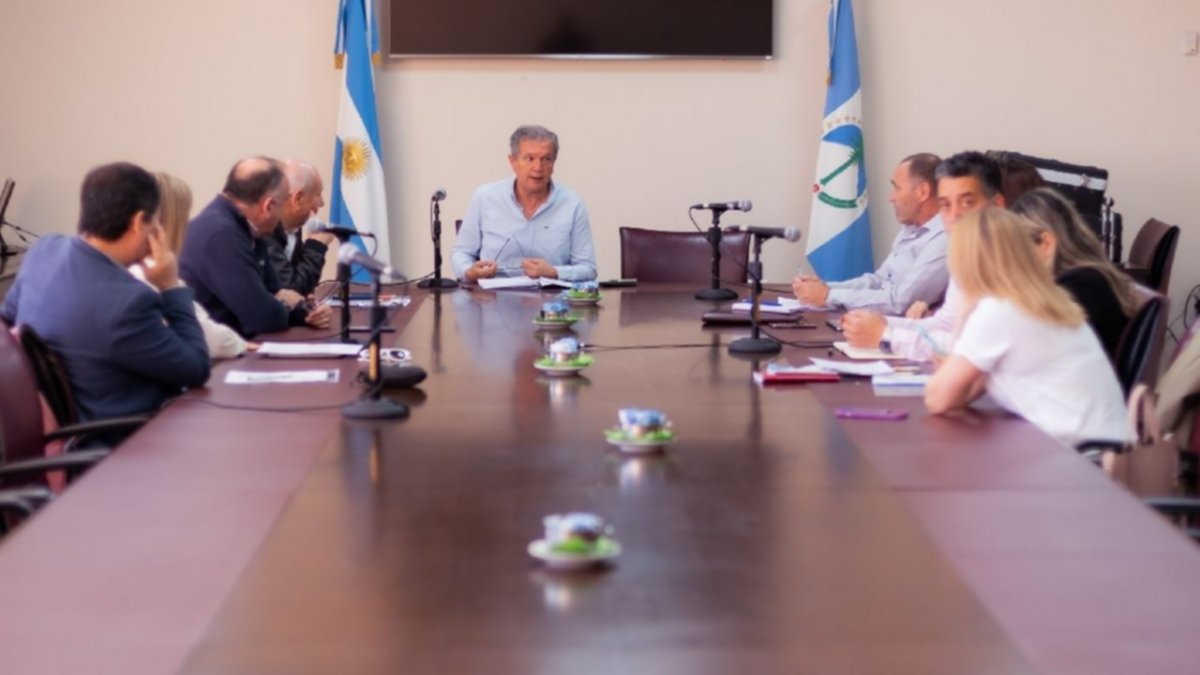 El informe por Gloria Ruiz habla de "resoluciones voladoras" en Neuquén