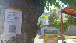 Un árbol y el escrache a un infiel: la estafa más ingeniosa de los últimos tiempos