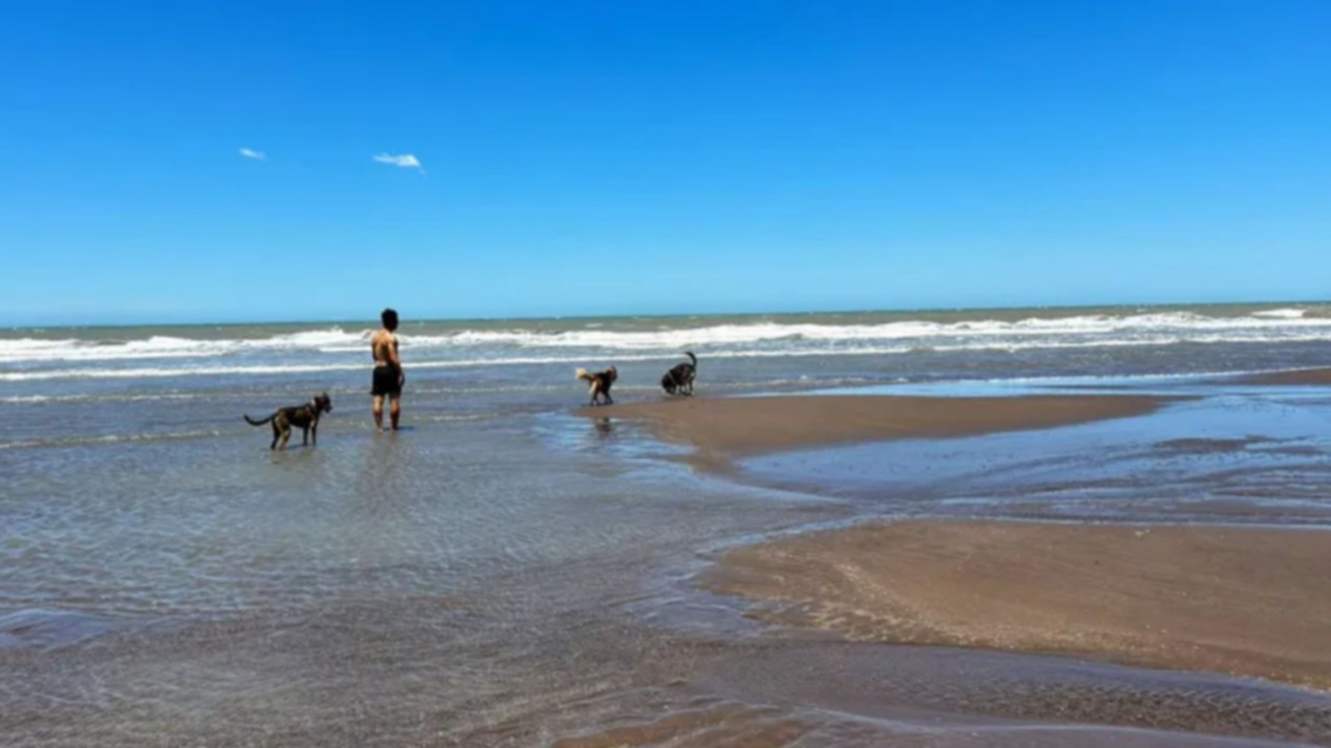 Las playas de Las Grutas y sus condiciones para llevar el perro