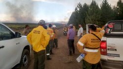Combaten 10 incendios forestales en la cordillera de Neuquén