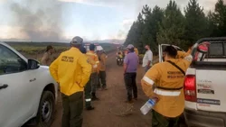 Combaten 10 incendios forestales en la cordillera de Neuquén