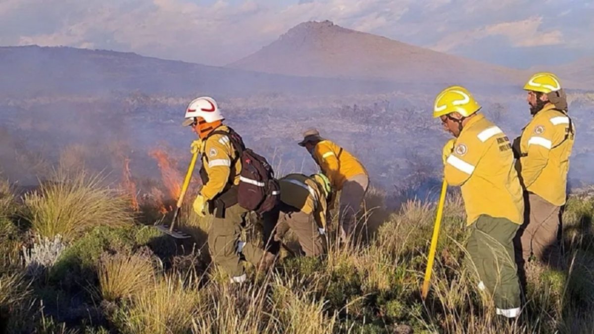 Están controlados los incendios en el Parque Nacional Lanín