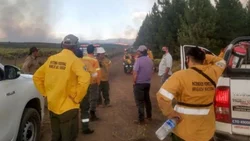 Logran controlar los incendios en la zona de Aluminé
