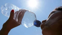 Calor extremo en Neuquén: cómo cuidarse y prepararse para las altas temperaturas