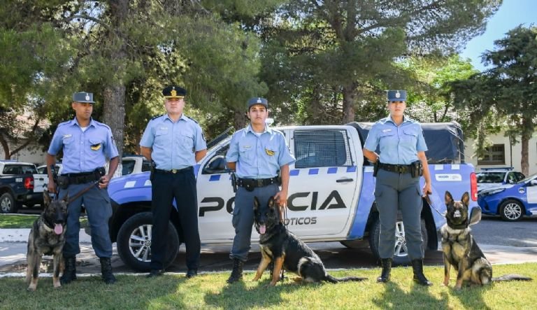 Así trabaja Emily, la perra que lucha contra los narcos en Neuquén- Así trabaja Emily, la perra que lucha contra los narcos en Neuquén