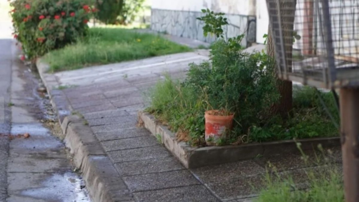 Por presencia del mosquito "Aedes", realizan prevención contra el dengue en el Este de la ciudad
