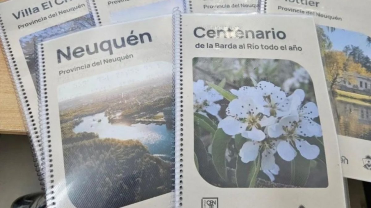 Destinos inclusivos: Neuquén entrega folletería en braille