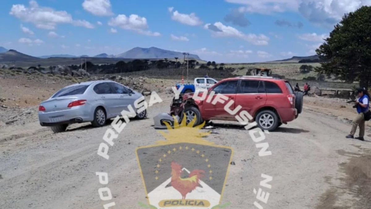 Ruta a Primeros Pinos: preocupa el mal estado y la cantidad de choques