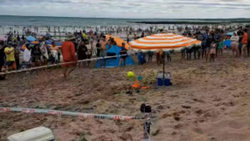 Un hecho insólito: Miles de abejas invadieron las playas de Las Grutas