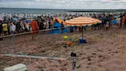 Un hecho insólito: Miles de abejas invadieron las playas de Las Grutas