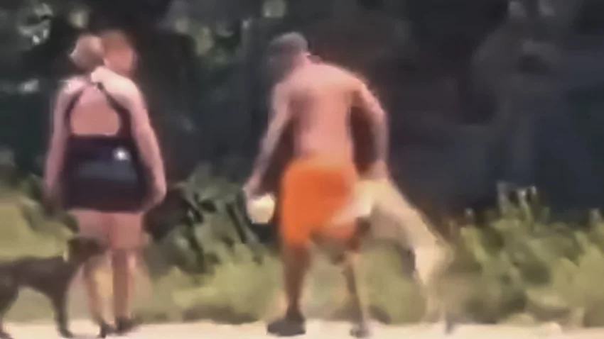 Indignación en Roca por un hombre que le pega a un perrito en el canal grande