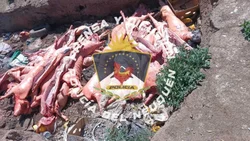 Decomisan 27 media res de chancho que iban a vender en comercios de Aluminé
