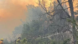 El incendio en Meliquina está contenido y afectó 10 hectáreas de bosque nativo