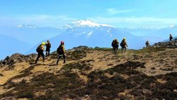 Incendios forestales: ya se consumieron más de 3.400 hectáreas