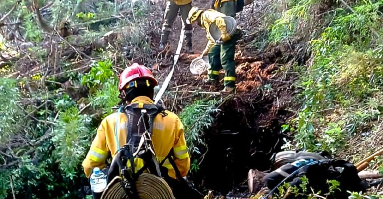 Incendios forestales: ya se consumieron más de 3.400 hectáreas- Incendios forestales: ya se consumieron más de 3.400 hectáreas