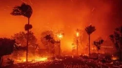 Incendios: Biden declara a California como zona catastrófica