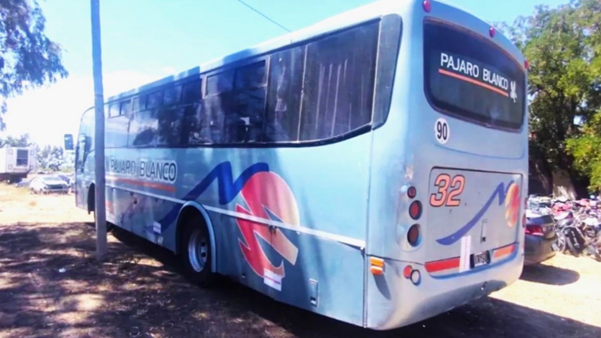 Retienen en San Antonio Oeste un colectivo que circulaba sin habilitación