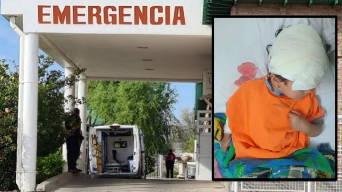 Fueron al mercado del barrio y un perro atacó a su hija de 4 años
