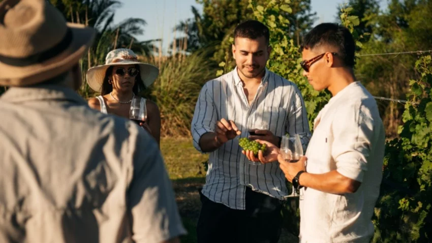Camino del Vino, el nuevo atractivo turístico que ofrece circuitos únicos