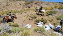 Decomisaron millonaria carga de medicamentos y productos cerca del Paso Pichachén