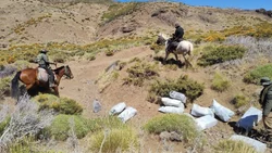 Decomisaron millonaria carga de medicamentos y productos cerca del Paso Pichachén