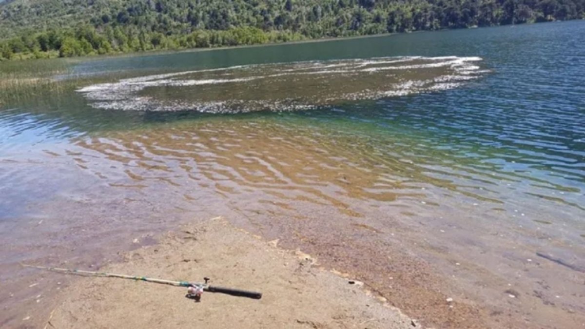 Qué es y qué peligros tiene el fenómeno que ocurrió en el lago Nompehuen