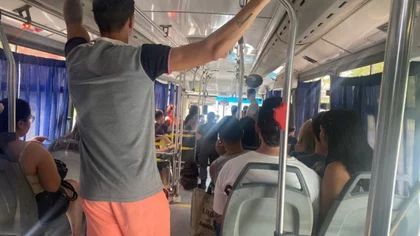 Fernández Oro estrena su servicio de transporte urbano: recorridos y precios