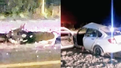 Choque fatal en la 22: quién era el joven motociclista que murió en Cervantes