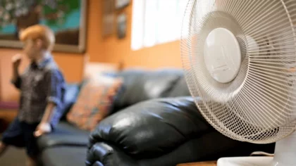 Se espera un pico de demanda eléctrica esta tarde en el país por el calor