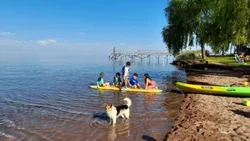 Cianobacterias ¿es seguro bañarse en el lago Mari Menuco?