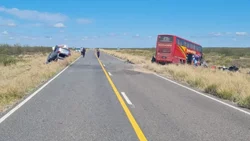 Cinco muertos por choque de camioneta con un colectivo que venía a Allen