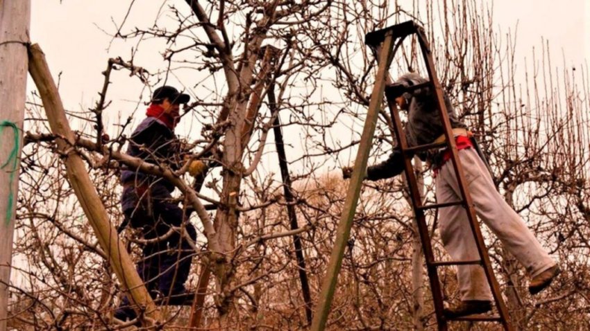 Trabajadores del empaque de Río Negro y Neuquén acordaron el salario