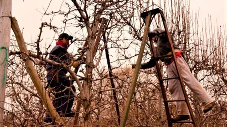 Trabajadores del empaque de Río Negro y Neuquén acordaron el salario