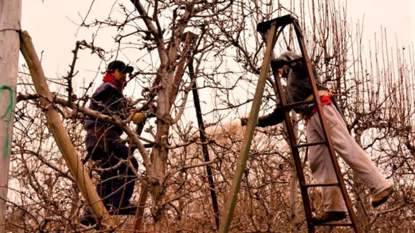 Trabajadores del empaque de Río Negro y Neuquén acordaron el salario