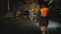 El temporal de lluvia provocó destrozos e inundaciones en el Alto Valle