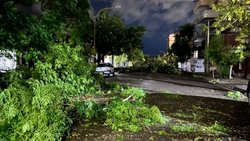 Qué dijeron los intendentes del Alto Valle tras el temporal de lluvia y viento