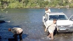 Encontraron un caballo muerto en el río Chimehuín: qué pasó