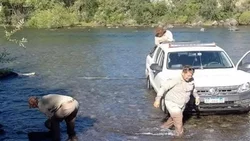 Encontraron un caballo muerto en el río Chimehuín: qué pasó
