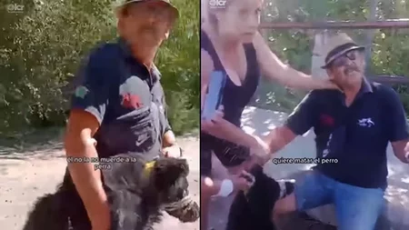 Salvaron a una perrita que iba a ser asesinada por un hombre