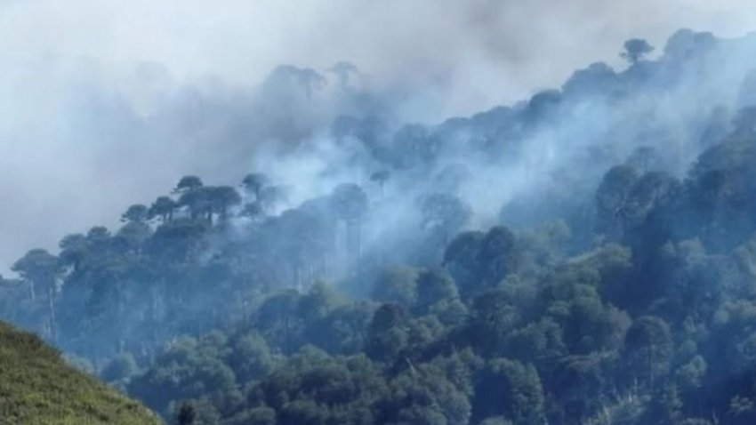 Parques Nacionales prohibió el uso del fuego hasta nuevo aviso